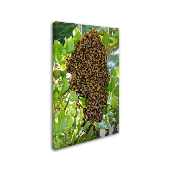 Robert Harding Picture Library 'Swarm Of Bees' Canvas Art,30x47